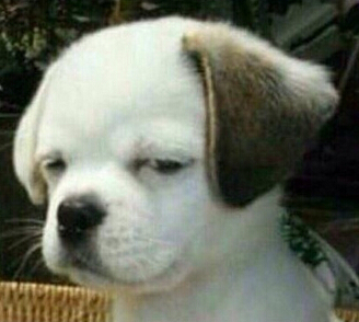 笑死人的说说加图片:老师说我是搅屎棍,那么我同学是什么?1