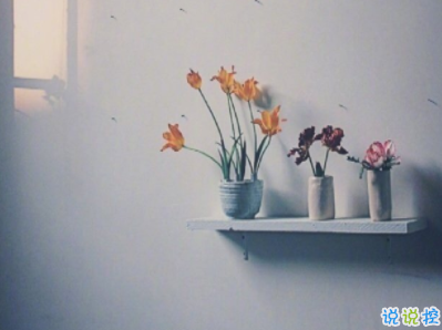 2019十一月你好微博说说配图 元气满满的句子阳光励志11