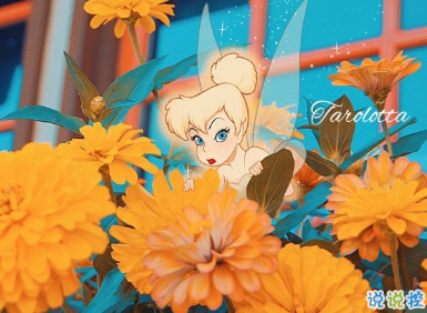 听起来让人很温暖的文案 无风无月也无你1