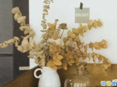 让你一眼就能爱上的句子 江月何曾皱眉1