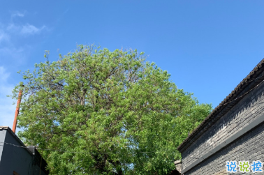 心情低落时可以看的句子 不要去反复思考同一个问题5