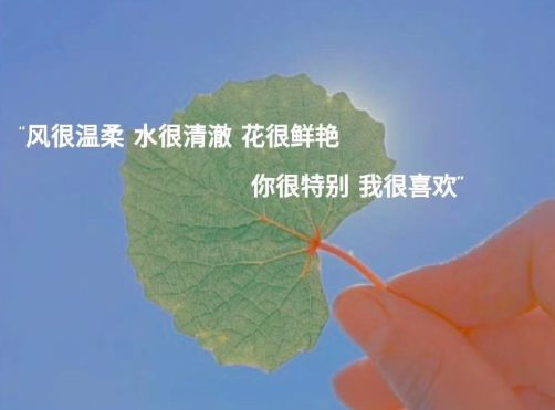 写给前任的的伤感留言 让前任看了心痛的说说2