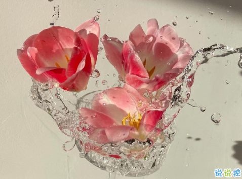 00后女生发的小清新句子 别致又好听的00女生文案2