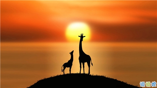 姑娘,我有15句悄悄话说给你听。5