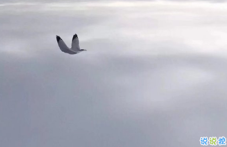 唯美说说配图伤感篇2018：年纪大了只想跟相处不累的人在一起9