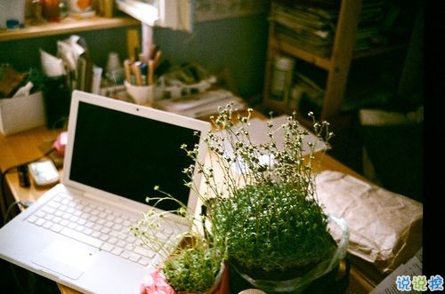 只想说给你听的小情话带图片 你笑时雷声温柔暴雨无声5