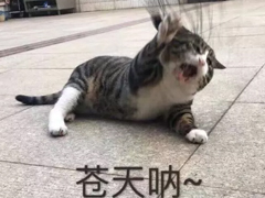 2018搞笑句子越短越好精选 简短的搞笑句子一句话笑死人